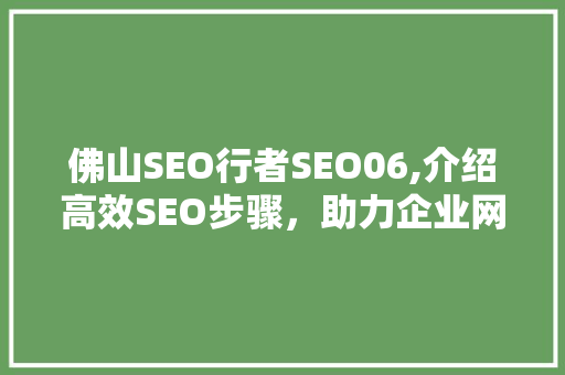 佛山SEO行者SEO06,介绍高效SEO步骤，助力企业网络营销腾飞