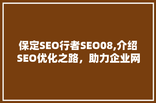 保定SEO行者SEO08,介绍SEO优化之路，助力企业网站排名提升