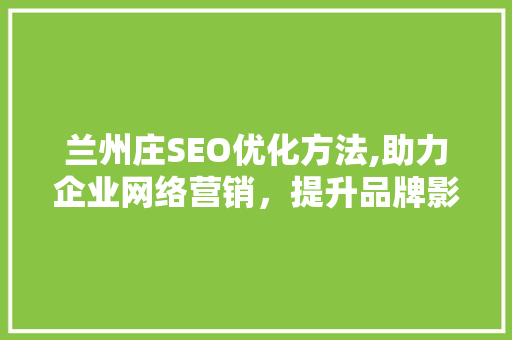 兰州庄SEO优化方法,助力企业网络营销，提升品牌影响力