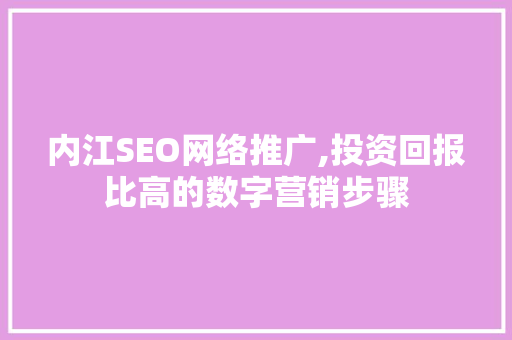 内江SEO网络推广,投资回报比高的数字营销步骤