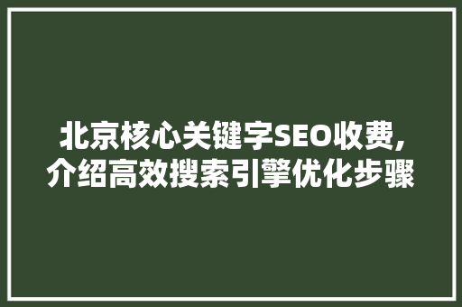 北京核心关键字SEO收费,介绍高效搜索引擎优化步骤