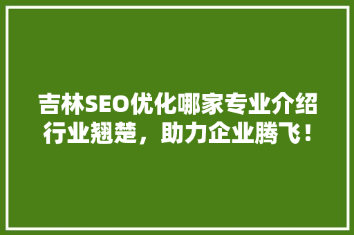 吉林SEO优化哪家专业介绍行业翘楚，助力企业腾飞！