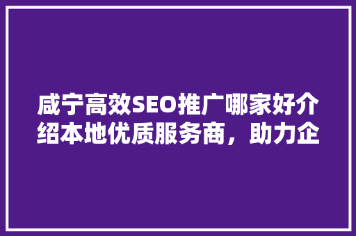 咸宁高效SEO推广哪家好介绍本地优质服务商，助力企业腾飞