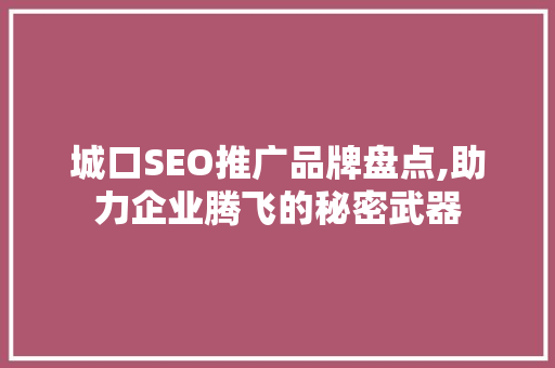 城口SEO推广品牌盘点,助力企业腾飞的秘密武器