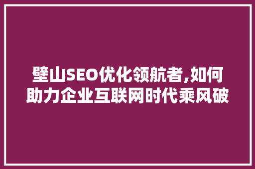 壁山SEO优化领航者,如何助力企业互联网时代乘风破浪