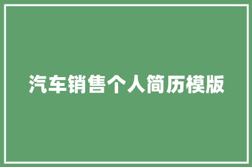 如何做好大站的SEO,步骤与实施指南