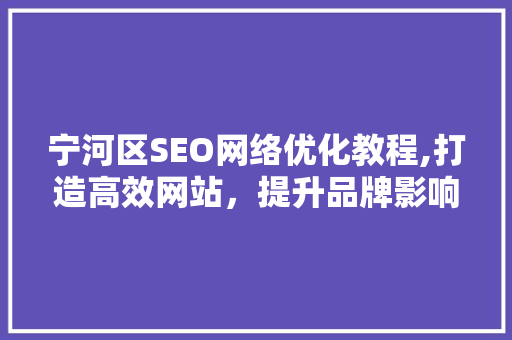 宁河区SEO网络优化教程,打造高效网站，提升品牌影响力