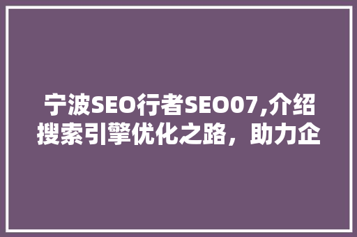 宁波SEO行者SEO07,介绍搜索引擎优化之路，助力企业腾飞