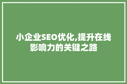小企业SEO优化,提升在线影响力的关键之路