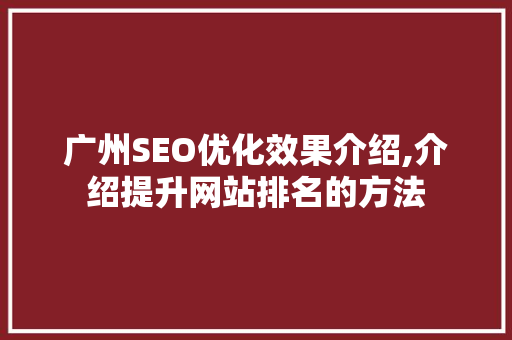 广州SEO优化效果介绍,介绍提升网站排名的方法