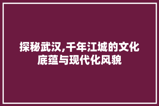 探秘武汉,千年江城的文化底蕴与现代化风貌