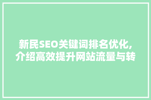 新民SEO关键词排名优化,介绍高效提升网站流量与转化率的方法
