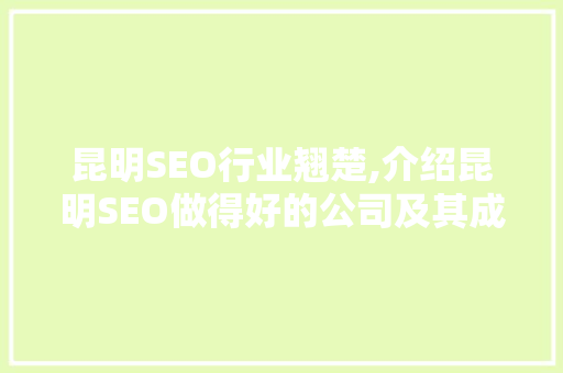 昆明SEO行业翘楚,介绍昆明SEO做得好的公司及其成功之路