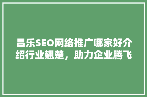 昌乐SEO网络推广哪家好介绍行业翘楚，助力企业腾飞