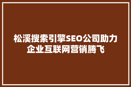 松溪搜索引擎SEO公司助力企业互联网营销腾飞