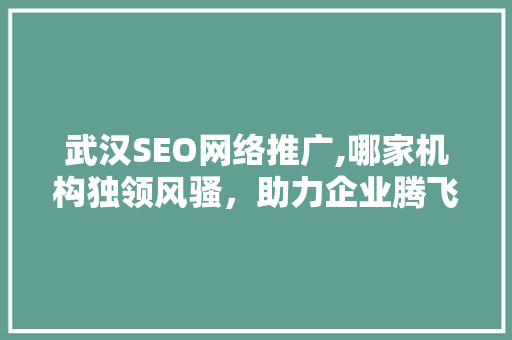 武汉SEO网络推广,哪家机构独领风骚，助力企业腾飞