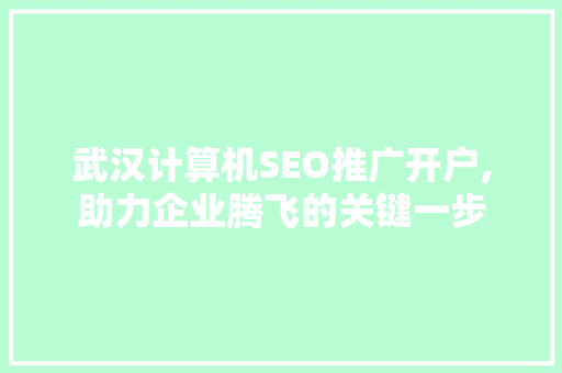 武汉计算机SEO推广开户,助力企业腾飞的关键一步