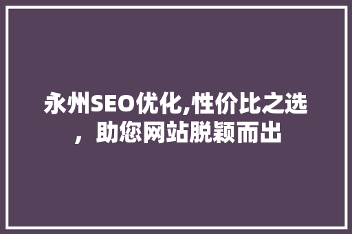 永州SEO优化,性价比之选，助您网站脱颖而出