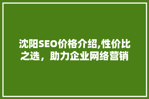 沈阳SEO价格介绍,性价比之选，助力企业网络营销
