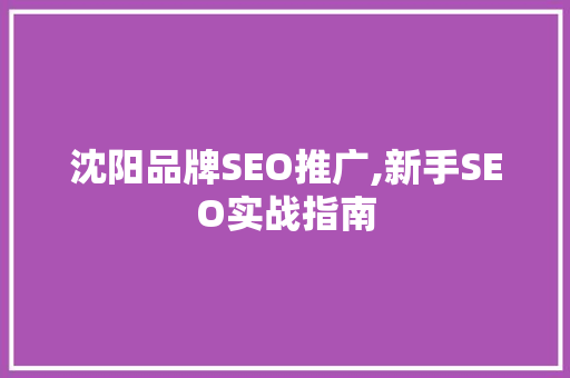 沈阳品牌SEO推广,新手SEO实战指南
