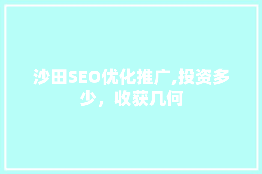 沙田SEO优化推广,投资多少，收获几何