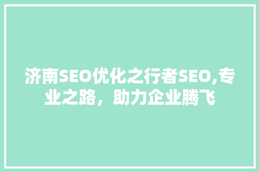 济南SEO优化之行者SEO,专业之路，助力企业腾飞