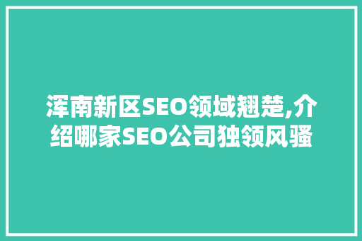 浑南新区SEO领域翘楚,介绍哪家SEO公司独领风骚