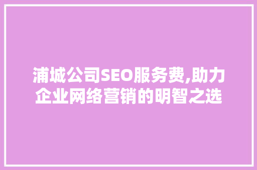 浦城公司SEO服务费,助力企业网络营销的明智之选