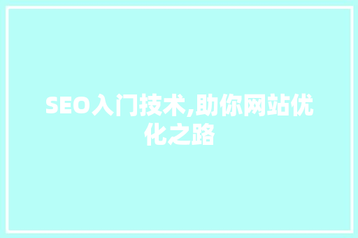 SEO入门技术,助你网站优化之路