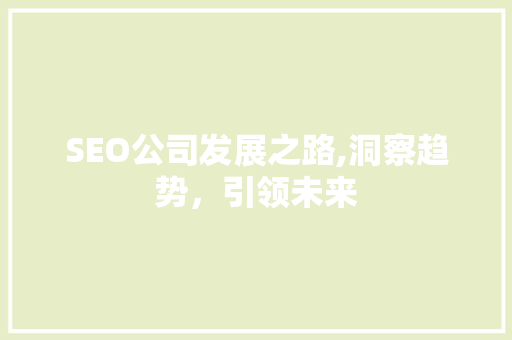 SEO公司发展之路,洞察趋势，引领未来