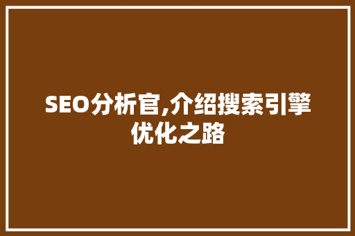 SEO分析官,介绍搜索引擎优化之路