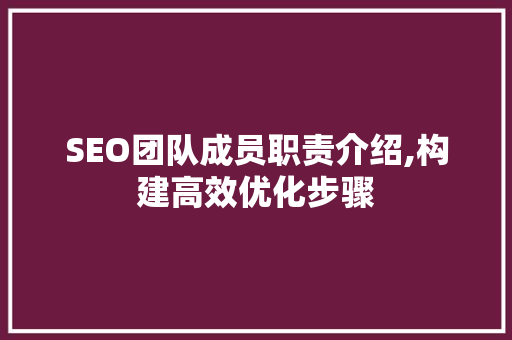 SEO团队成员职责介绍,构建高效优化步骤