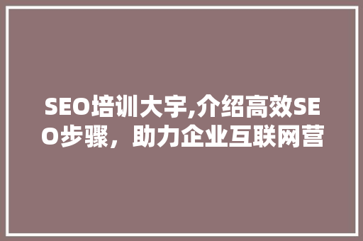 SEO培训大宇,介绍高效SEO步骤，助力企业互联网营销腾飞