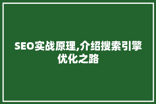 SEO实战原理,介绍搜索引擎优化之路