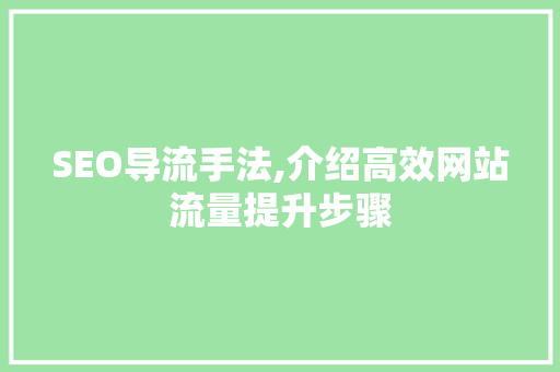 SEO导流手法,介绍高效网站流量提升步骤