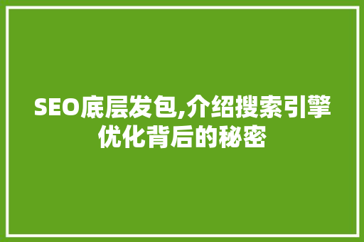 SEO底层发包,介绍搜索引擎优化背后的秘密