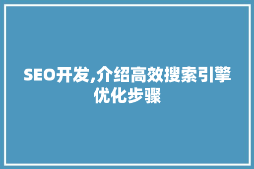 SEO开发,介绍高效搜索引擎优化步骤