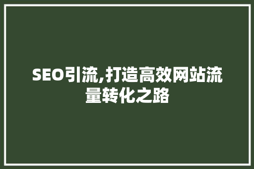 SEO引流,打造高效网站流量转化之路