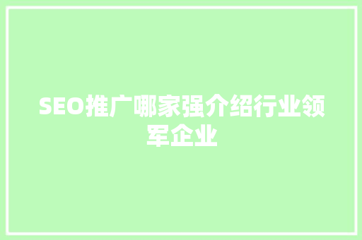 SEO推广哪家强介绍行业领军企业