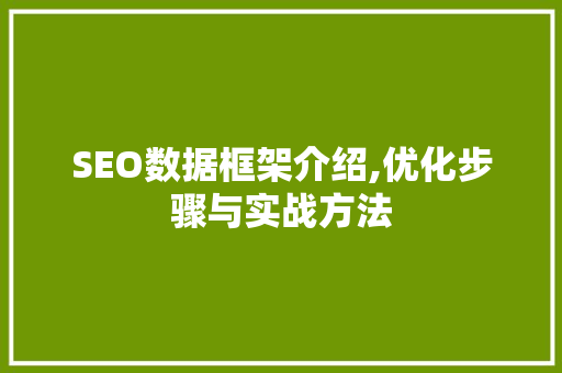 SEO数据框架介绍,优化步骤与实战方法