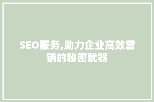 SEO服务,助力企业高效营销的秘密武器