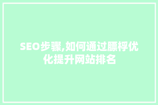 SEO步骤,如何通过膘桴优化提升网站排名