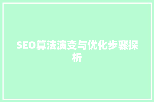 SEO算法演变与优化步骤探析