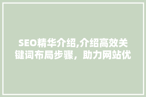 SEO精华介绍,介绍高效关键词布局步骤，助力网站优化提升