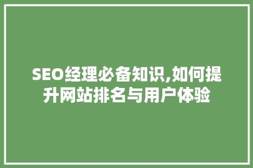 SEO经理必备知识,如何提升网站排名与用户体验