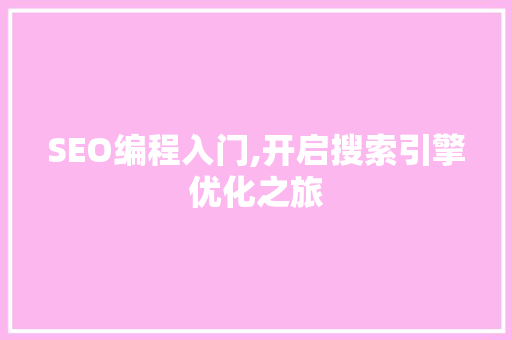 SEO编程入门,开启搜索引擎优化之旅