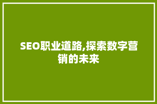 SEO职业道路,探索数字营销的未来