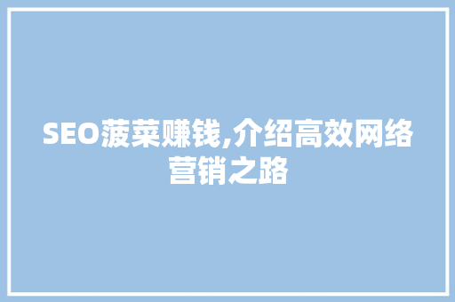 SEO菠菜赚钱,介绍高效网络营销之路
