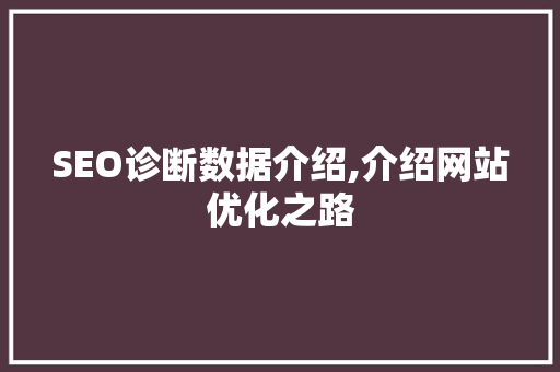 SEO诊断数据介绍,介绍网站优化之路