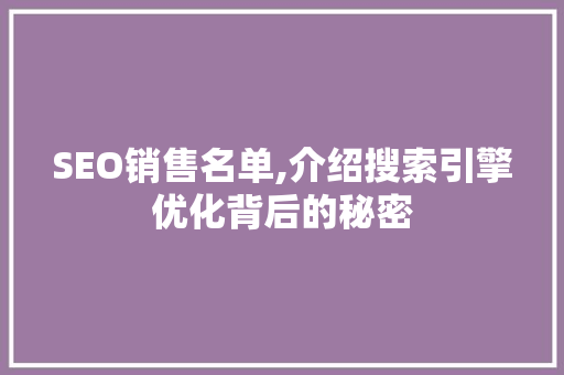 SEO销售名单,介绍搜索引擎优化背后的秘密